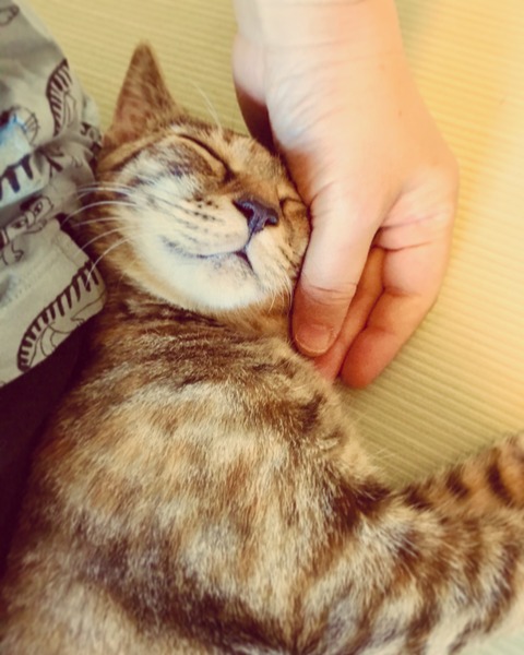 1506A16A-8305-4ACF-9B29-7E60C815B434