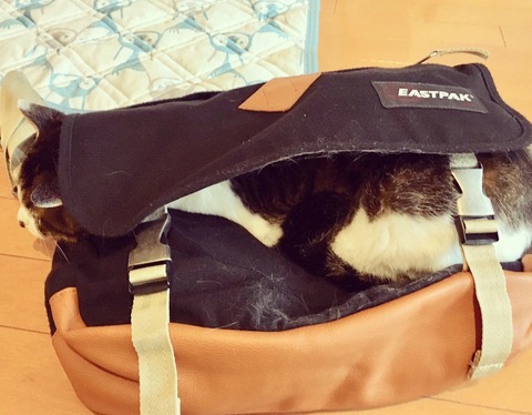 EB8C40EE-2D01-4D02-B8F8-7016E28A14F2