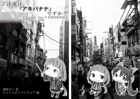 20161217_akibanana