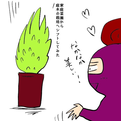 収穫1