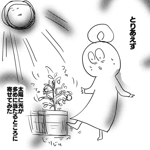 キノコ3
