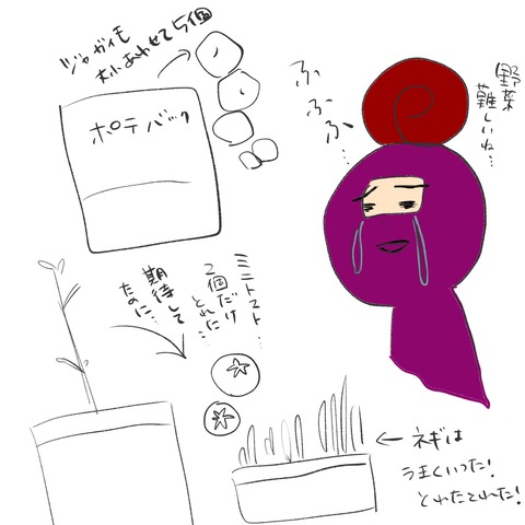 収穫