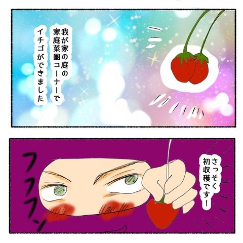 いちご
