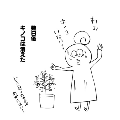 キノコ4