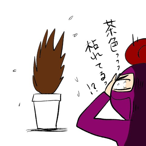 収穫3