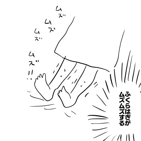 フクラハギ2