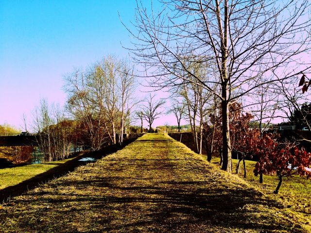 Iphone写真家マルゲリータ斉藤 真駒内公園を撮る の巻 Com Blog Iphone写真家マルゲリータ斉藤 真駒内公園を撮る の巻 Com Blog