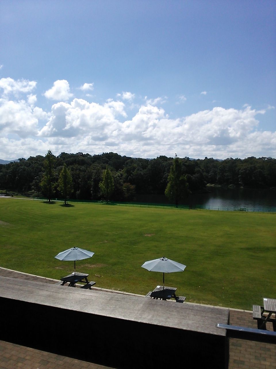 展望レストランくにかね備北丘陵公園 イカのblog