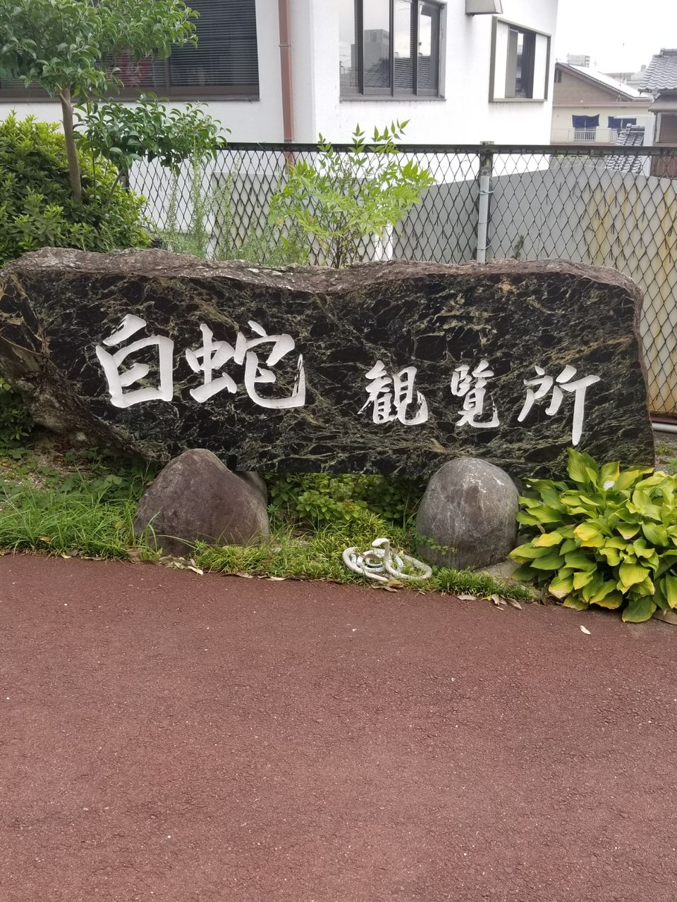 今津白蛇観覧所 イカのblog