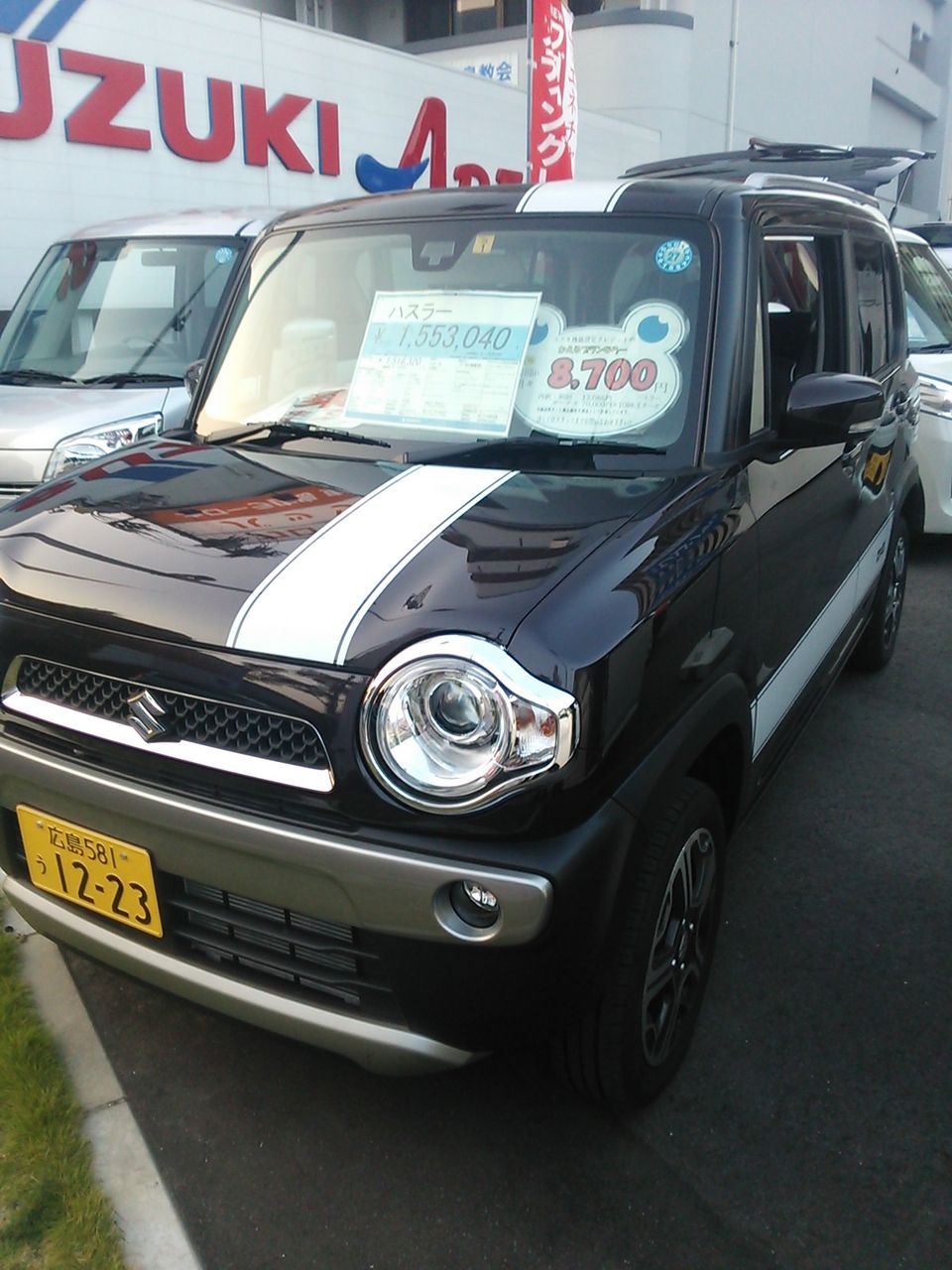 スズキアリーナ イカのblog