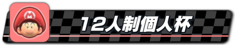 12人制個人杯