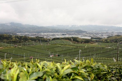 17879926_1298836043518946_6445584449573401260_o