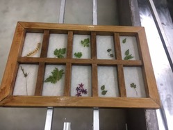 17861464_1298838026852081_2479918697444579617_n