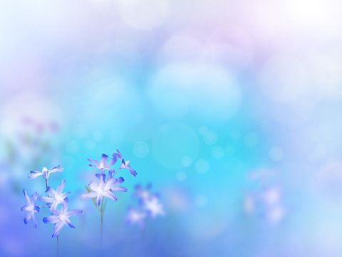 AdobeStock_198258850
