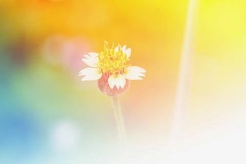 AdobeStock_114973473