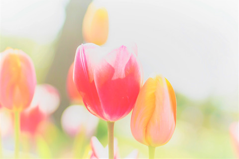 AdobeStock_236789070