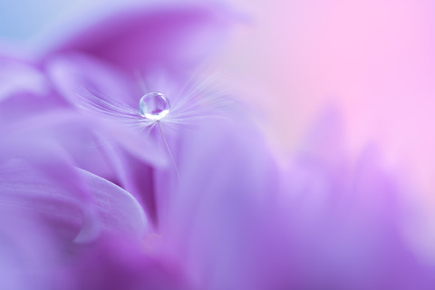 AdobeStock_161870776