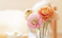 wallpape-flower-12