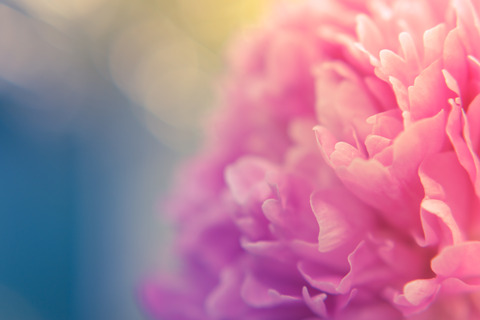 AdobeStock_234687255