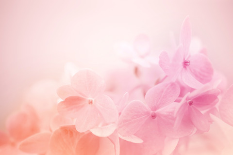 AdobeStock_85031745