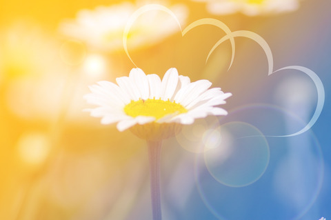 AdobeStock_92629010