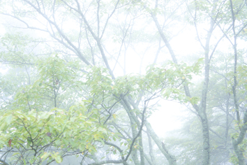 20130825-_DSC7076