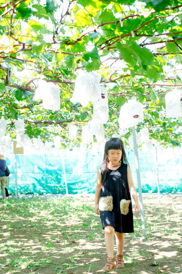 20120825-20120825-_MG_2978-1