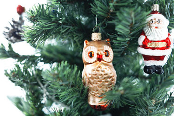 20121220-_MG_8071-1