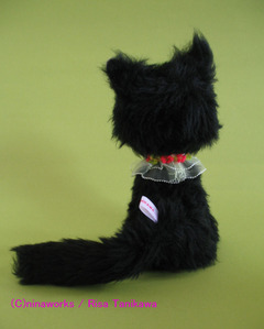 black kitten 2