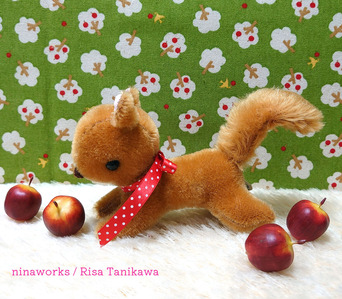 woods_squirrel_chestnut