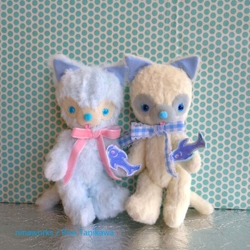 sea_cats