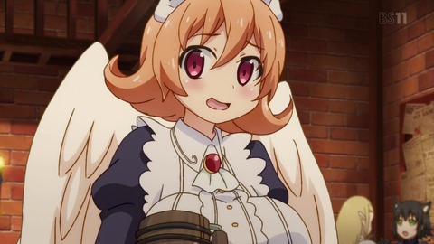 (11)
