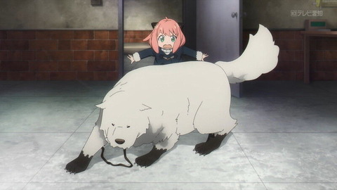 (114)