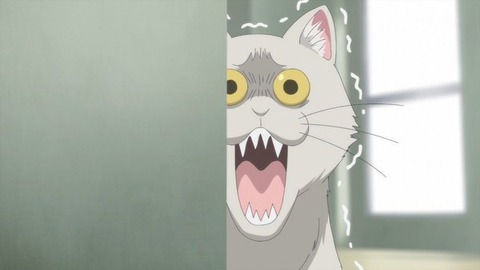 (60)