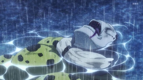 (243)