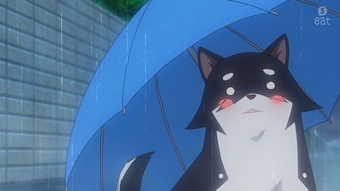 (61)