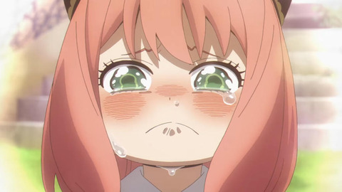 (106)