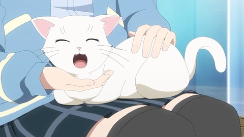 (379)