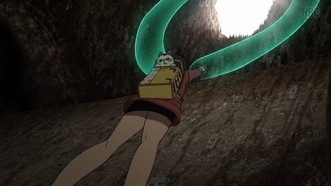 (231)
