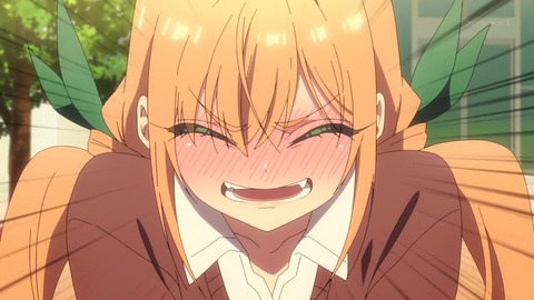 (323)