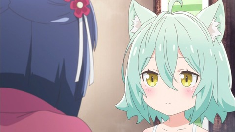 (11)