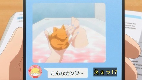 (245)