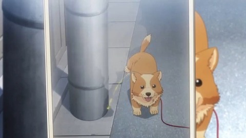 (101)