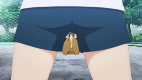 (186)