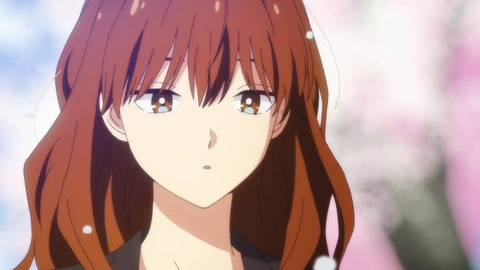 (53)