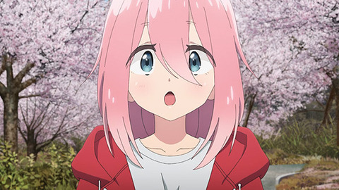 (81)