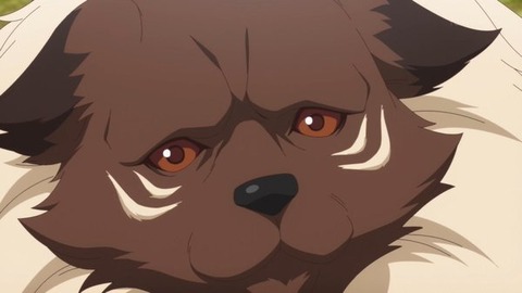 (80)