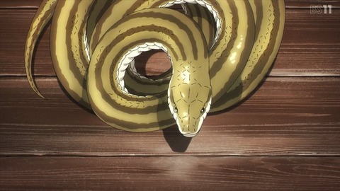 (617)