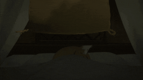 (85)