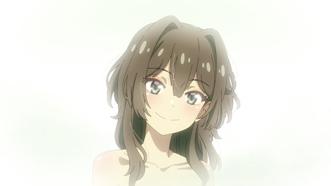 (4)